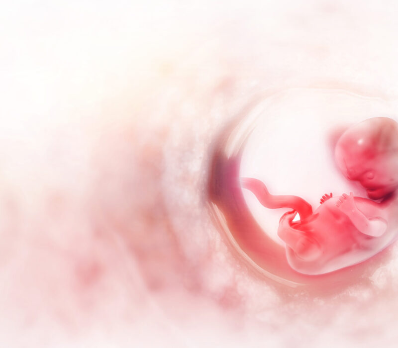 Eit vindauge til menneskets tilbliing