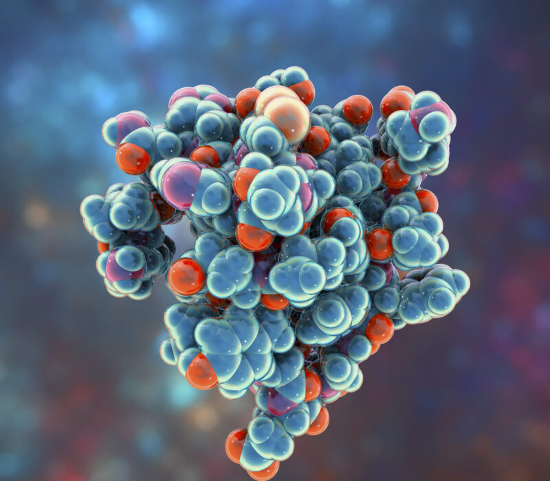 Frokostmøte: Proteiner – livets byggesteiner