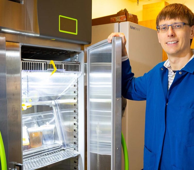 Elektrolandbruk – mat i mørket