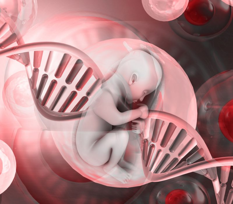 Genetiske undersøkelser i alle livets faser