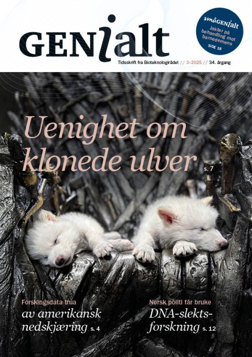GENialt 3-2025